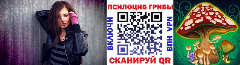 Галлюциногенные грибы мухоморы  наркошоп  Чегем 