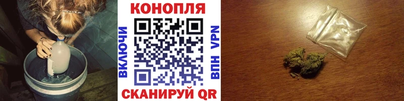 где можно купить наркотик  Чегем  blacksprut ссылка  Бошки Шишки гибрид 